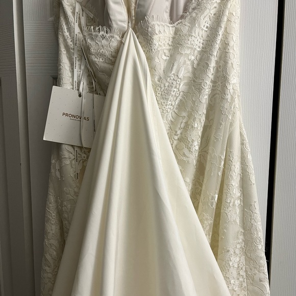 Wedding Dress : Pronovias - Picture 8 of 11